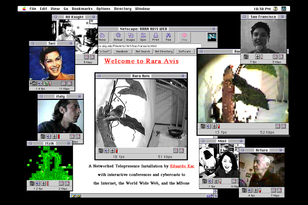 netscape screenshot