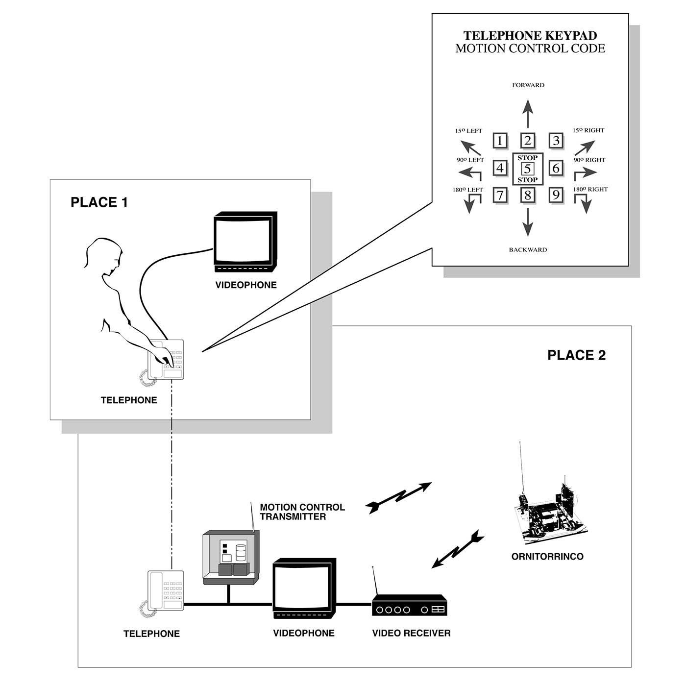 ornitorrinco diagram